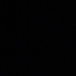 Meet your Posher, Maddi